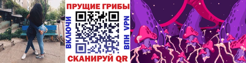 Купить закладки Навашино Псилоцибиновые грибы ЛСД